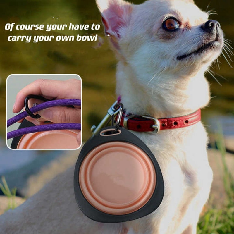 🥣 RuffRide™ Collapsible Travel Bowl